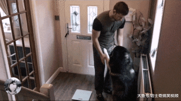 “胖阿拉”知道自己很胖，一说要称重就不见了，怕没肉吃吧