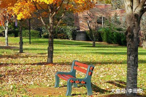 人生，何必太清醒？（好文）