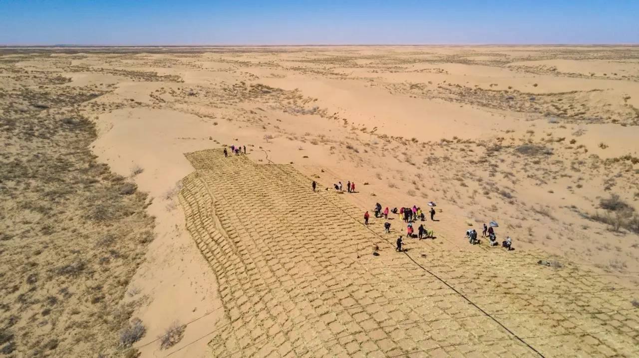 马云离开了，3年前的“天价”蚂蚁森林如何了，真的在种树？