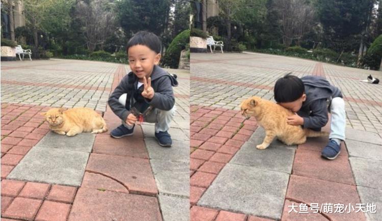 4岁萌弟揪橘猫合影，下秒抱着埋头狂吸，它吓到起身：救驾啊