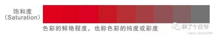 5種配色技巧，小白易上手的軟裝干貨，1篇省了1萬設計費