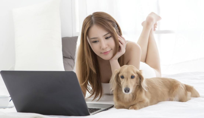 一句话告诉你, 狗狗寻求关注的时候, 是否置之不理!