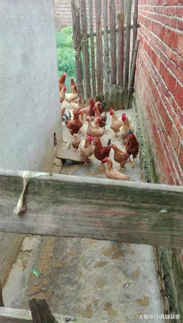 回农村就看到男友家的房子，这样的房子真不想嫁！