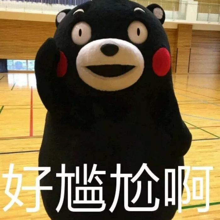 狗狗漏食玩具千萬不要貪便宜，TPR塑料容易咬壞吞下很危險！