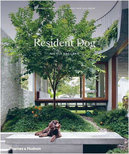 Nicole England|居民的狗和房子