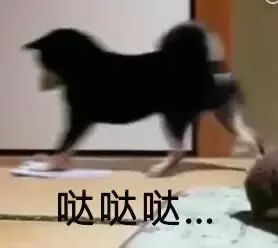 你家狗有什么過人技能？網友：我家狗會擦地板！