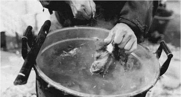 流浪狗被狗贩逮住，钓在树上一棒打死，随后的一幕看得人揪心痛