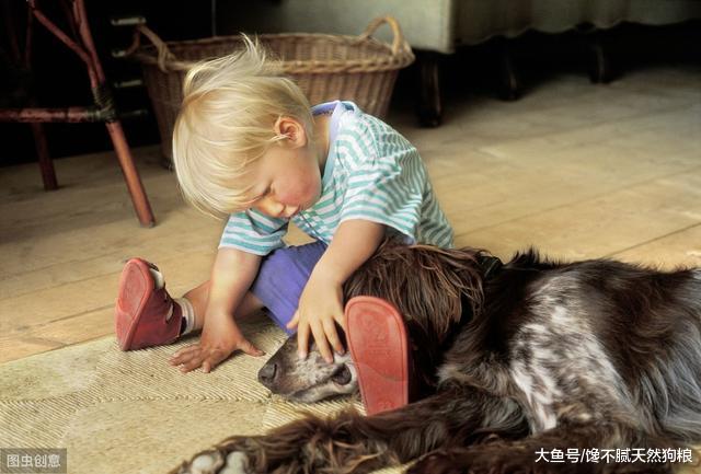 有这5种情况的狗狗，其实生命已经在倒数，主人多陪陪它吧