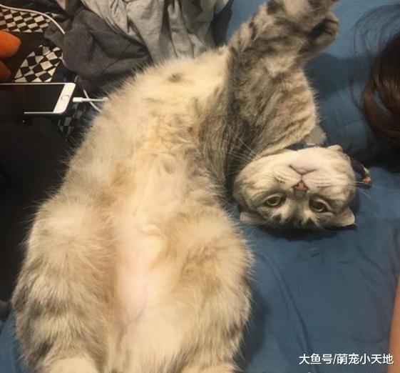 大眼喵歪嘴脖子还拗成90度变丧尸, 让爸爸看到吓一跳