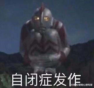 鹦鹉啄光了自己的毛，以为它是自虐，医生的话让男子自责