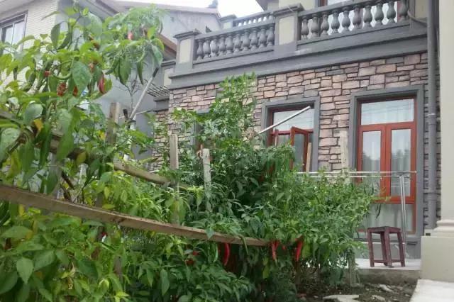 晒晒我家的三层简欧别墅, 小日子过得比神仙都快活