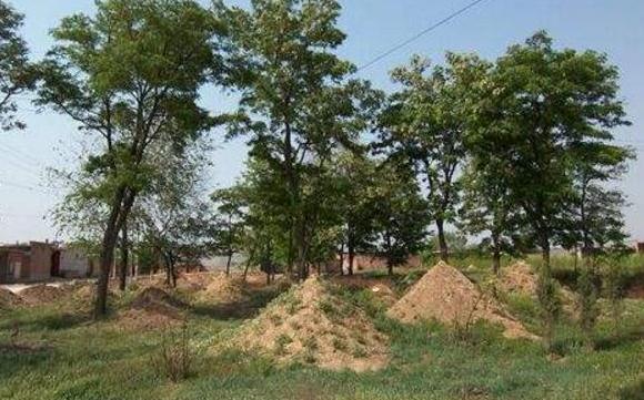 死者入土不安, 三次掩埋, 三次跑回家里来