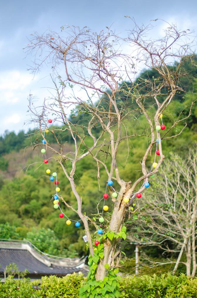 平常的周末, 不一样的雪窦山之旅
