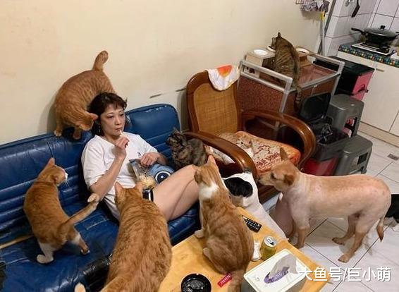 一开鱿鱼立刻被8猫2狗包围，主人淡定吃零食，就当它们不存在