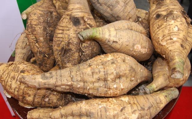 34岁男子喝啤酒如喝水, 最终喝成了肝硬化, 医生: 再喝肝癌也来了