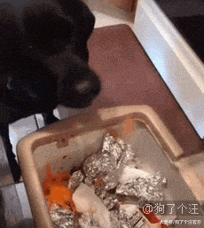 不是说建国之后动物不可以成精的吗？