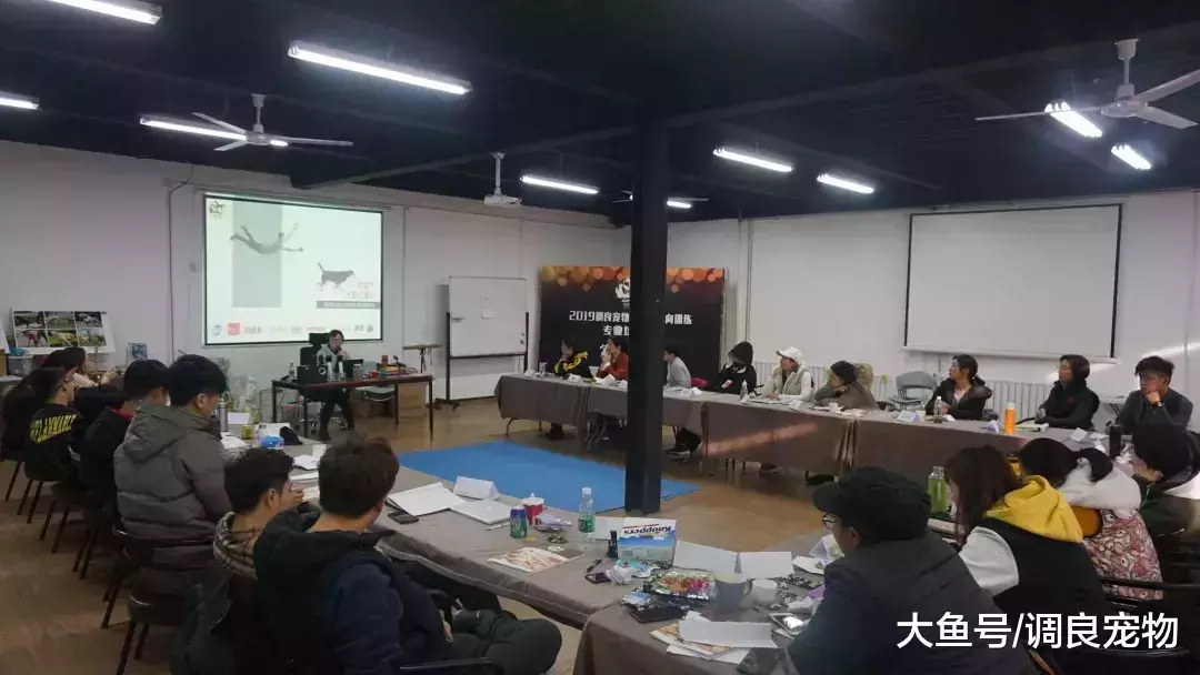 82期《调良宠物行为与正向训练专业培训班》开课了!