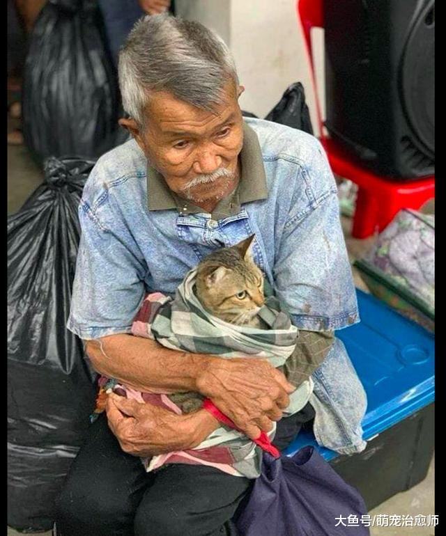 台风来袭人们带值钱物出逃，老爷爷只选择他最重要的东西：一只猫