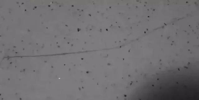 遇到廚房臺面開裂后小伙是這么處理的，學會后感覺白活20多年了