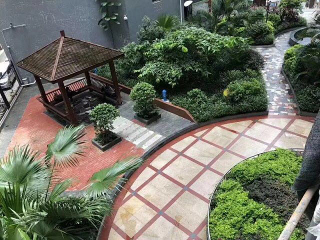 布吉六栋村委统建楼<南湾花园>14000一平