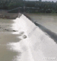 爆笑GIF：伴娘们，加油啊，你们一定要顶住敌人的炮火