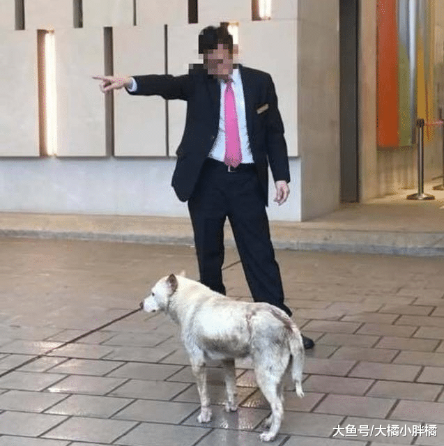 流浪狗想进大厦躲雨，却被保安驱逐，离开时的落寞表情让人很心疼