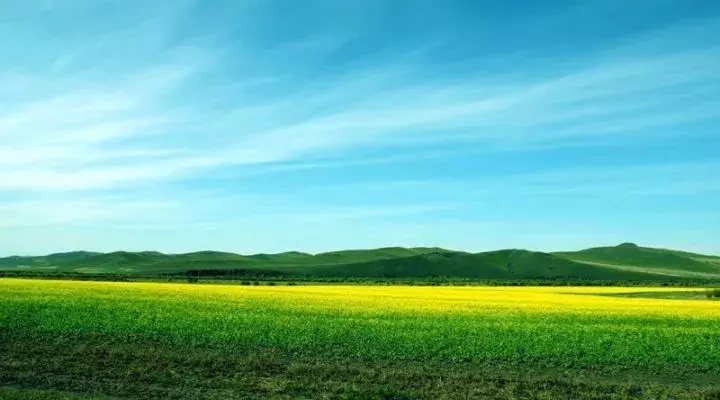 “农业+文化+旅游+康养+地产”, 未来30年中国最大的投资机遇!