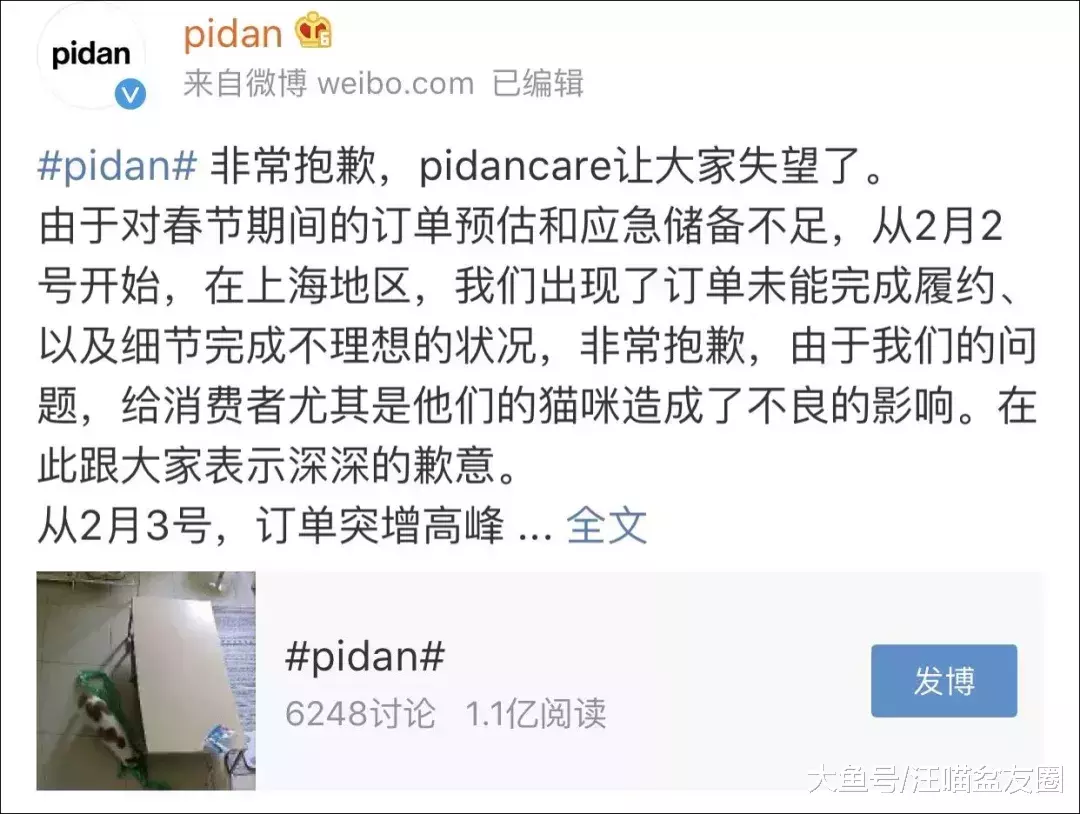 誰能想到，花150元雇人喂貓，我的貓卻成了救助對象