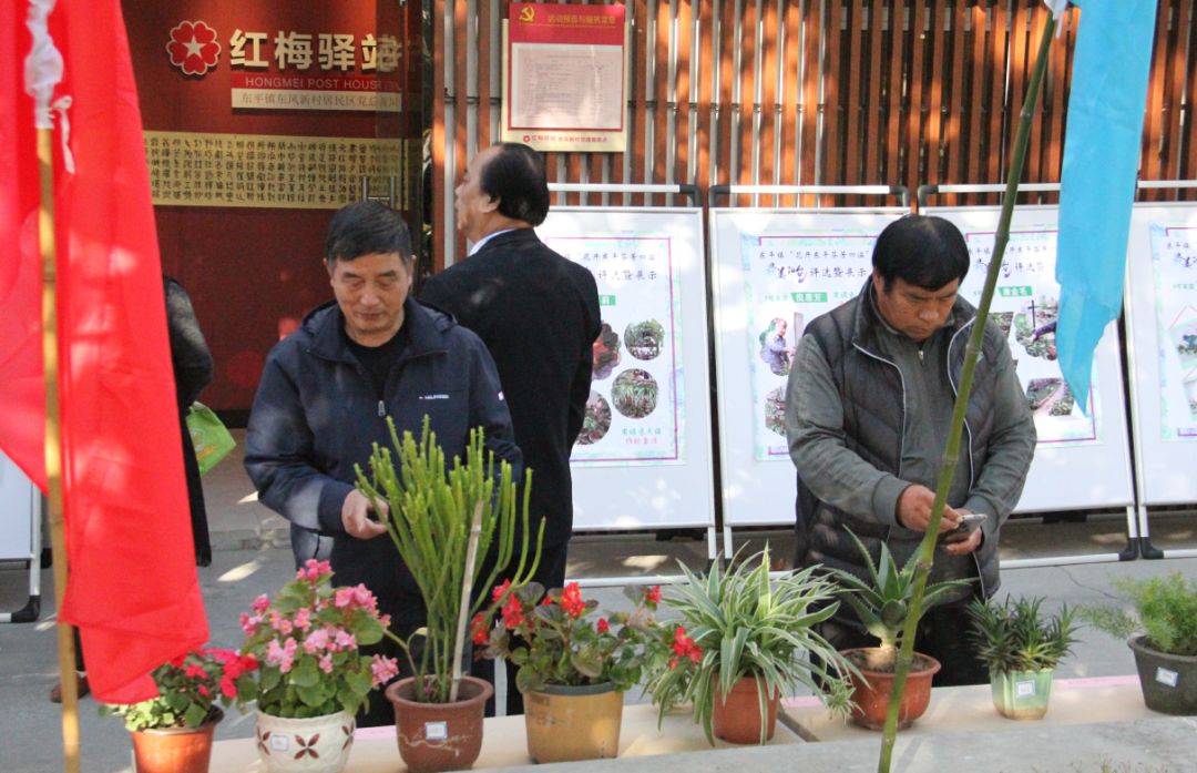 居民动手DIY，打造心中“最美阳台”~