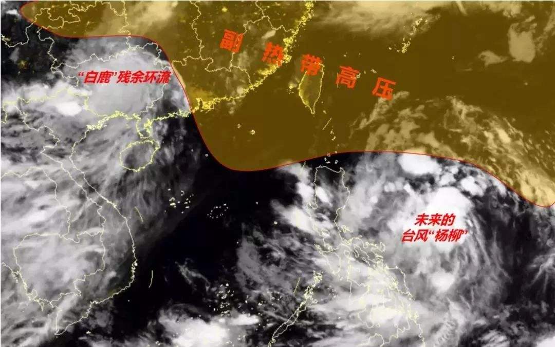 天气乱套了！全年11个台风8月就占4个，还有一个最强“风王”