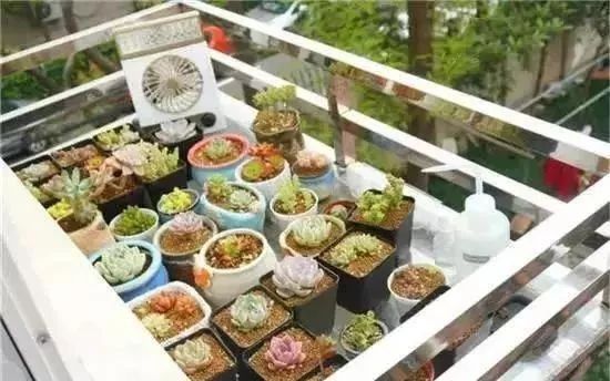 晒晒北京30平小窝，吃饭在鞋柜边，马桶横着用你试过？