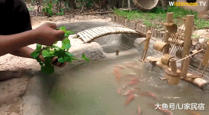 U+推荐 | 豪华狗窝：中式泳池豪宅、田园风情别墅、三层跳台别墅，人看了都想住