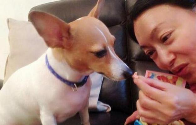 参观惠英红在香港的家，饭菜都是很简单，伙食有点太清汤寡水了