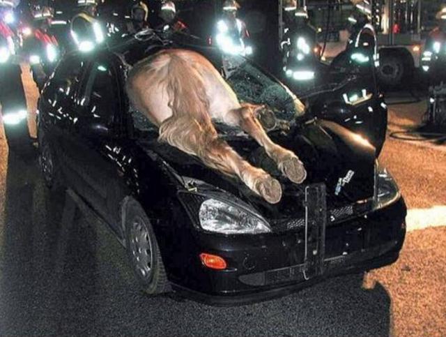 那些最“离奇”的交通事故，你一定不敢相信自己的眼睛