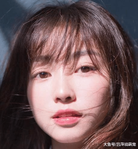 表白时, 女生用3句话拒绝你, 大猪蹄子: 离脱单不远了