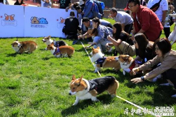国庆节假期去哪儿玩？济南为你准备了这份文旅“大餐”
