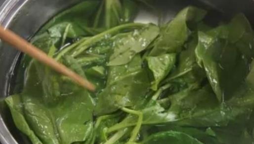 蒲公英不是万能药，希望不要喝错