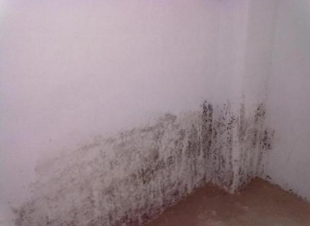 墙面发霉气泡怎么办？教你几个修补方法，不花一分钱墙面恢复如新