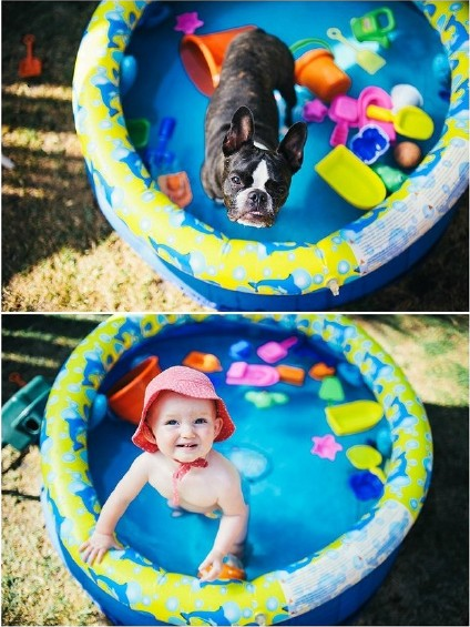 ‘萌娃与狗’傻傻分不清楚，国外玩出新花样萌娃与狗自拍，真的佩服这家主人，这是实力坑娃啊 ，哈哈！