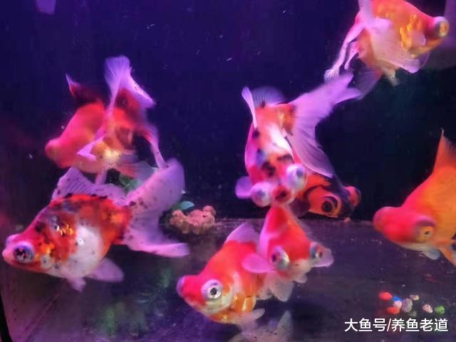 朋友送給我一個舊魚缸我準備以下的方法消毒，大家看行嗎？