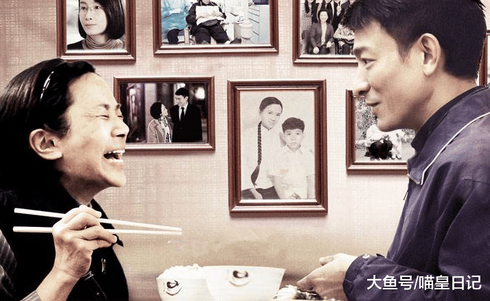 养猫有助于缓解老年痴呆？前提是要避免这三大误区