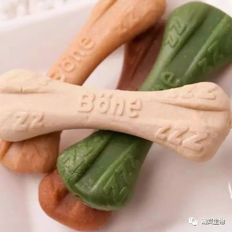 带好这10件必备品就可以和你的狗狗一起去旅行啦！