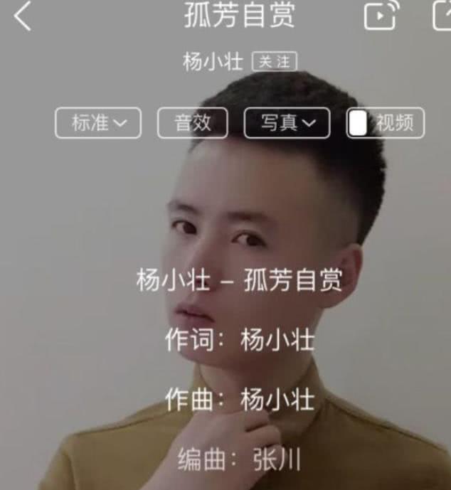 《孤芳自赏》被曝抄袭，全网举报如今下架，杨小壮人设崩塌