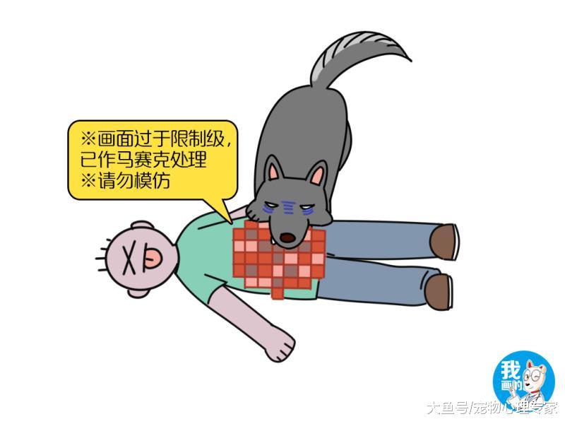 辟谣：狗吃主人尸体是不忠诚？相反它们的初衷也可能是因为爱