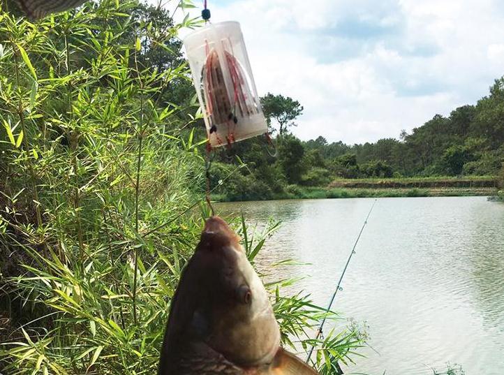 哪个“鬼才”发现的万向钩？再大的鱼一咬就无法逃脱，天！太有才