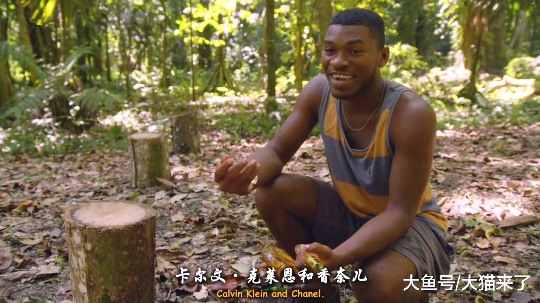 虎貓喜歡什么牌子的香水？男子用3種香水測試，結果虎貓選擇了它