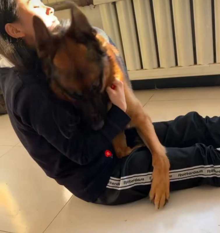女主人发现个地窖, 想靠近却被爱犬死死拖住, 知道原因后令人感动