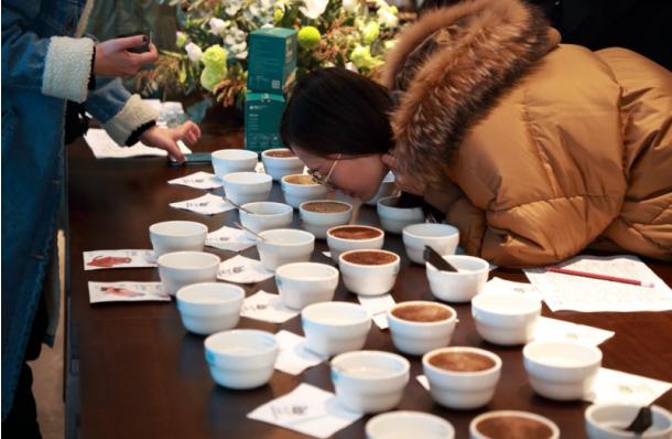 栖云会高黎贡精品咖啡正式上线，云南雅居乐文创产品首发