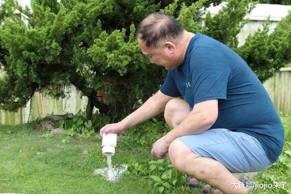 16岁爱犬被动物医院坑惨，庸医只知坑钱，5、6年未愈不幸病逝