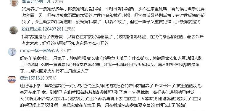 难忘的儿时萌宠您有吗？俺的小黄狗喝偷尝老爸的汤，俺一直没敢说